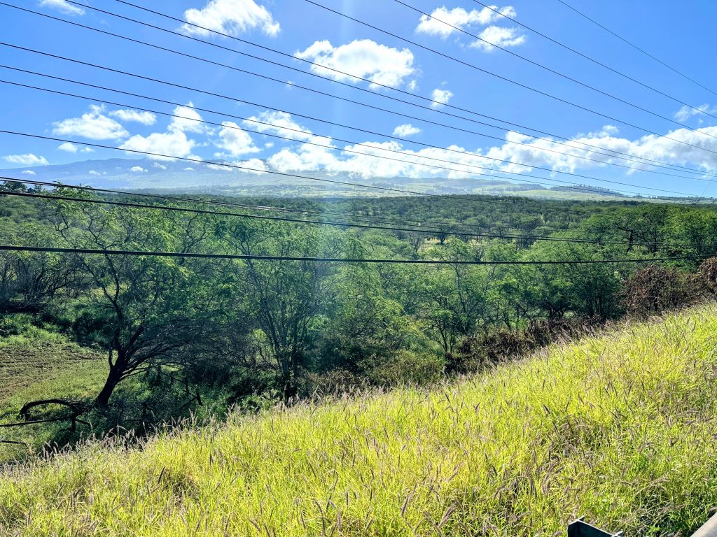 Appeals Court Orders Maui Planning Commission to Revisit Environmental Review for Honuaula Project