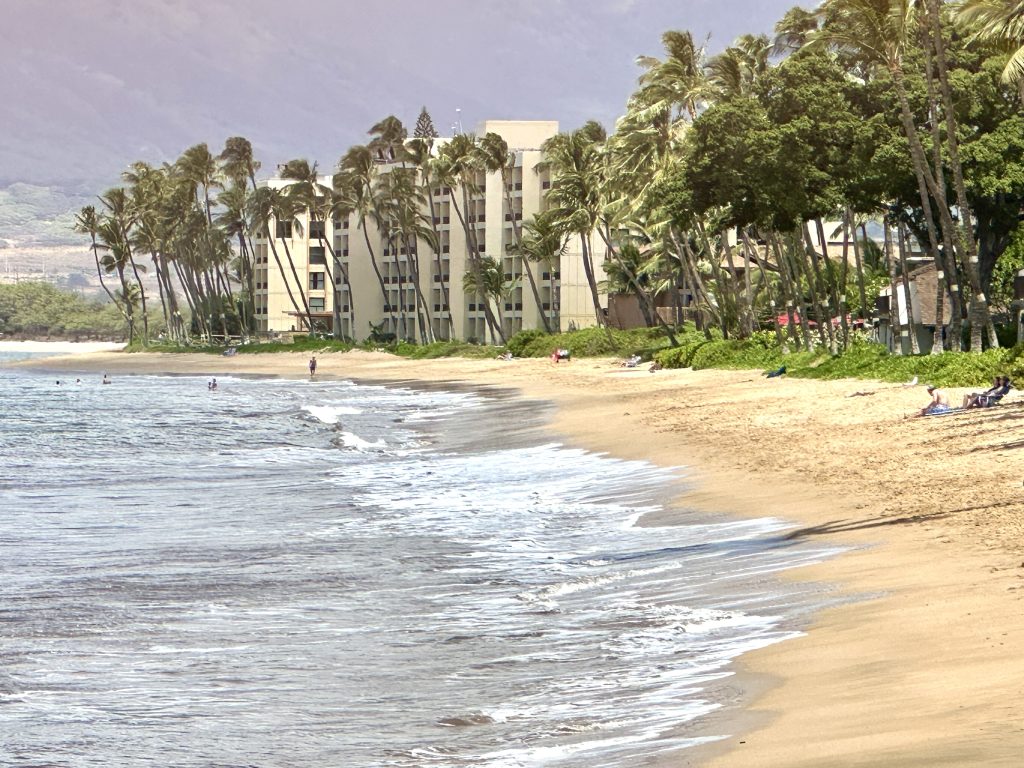 Council Committee Approves Bill 88 to Create New Hotel Zoning Framework